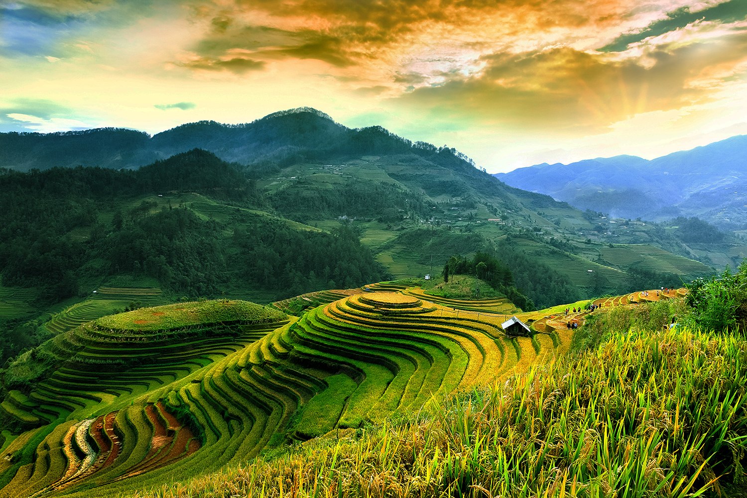 header-sub