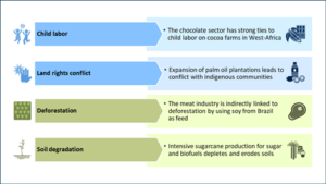 sourcing linkages