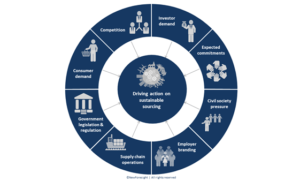 Why Companies Need a Sustainable Sourcing Strategy - NewForesight