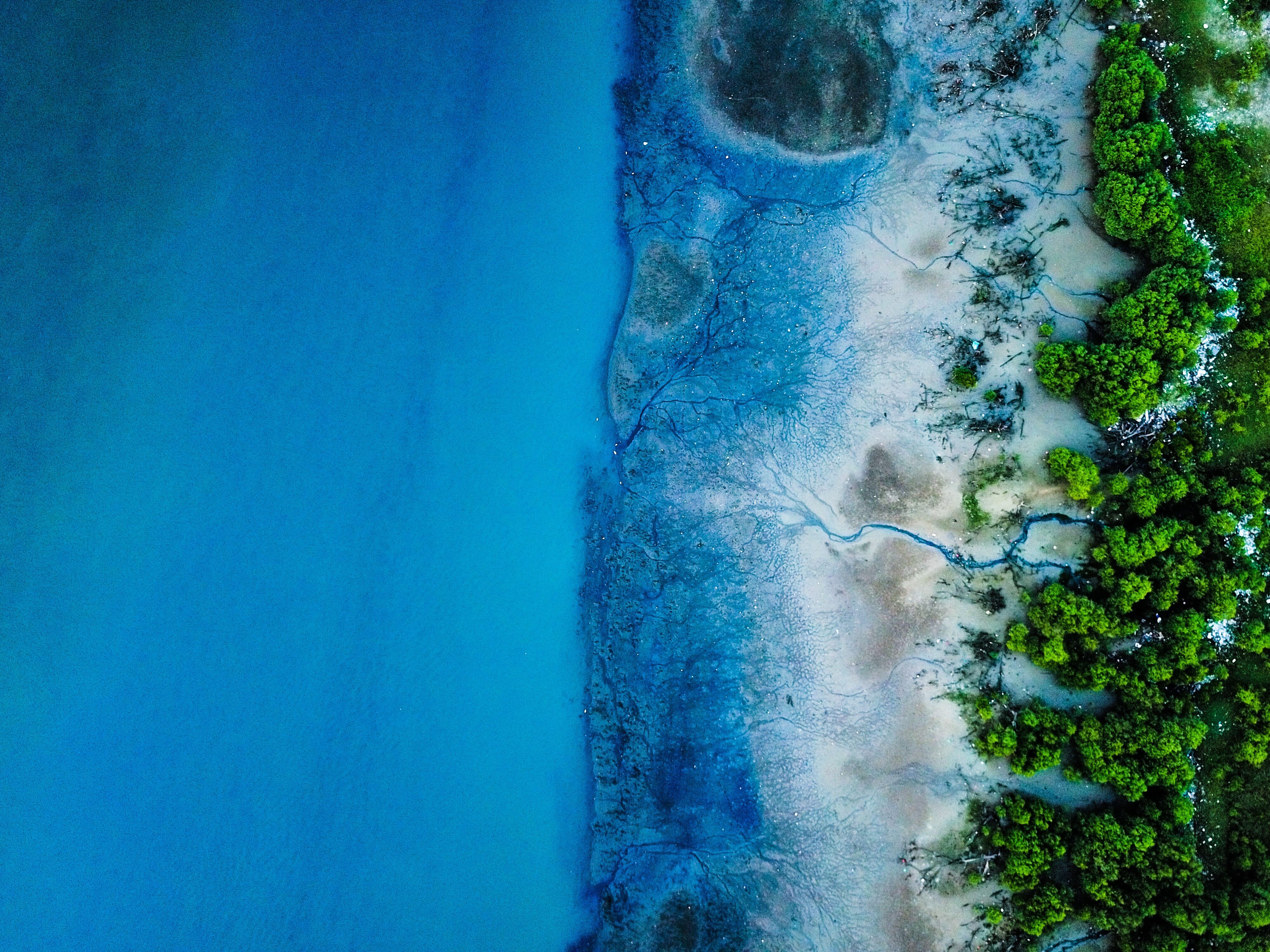 header-sub