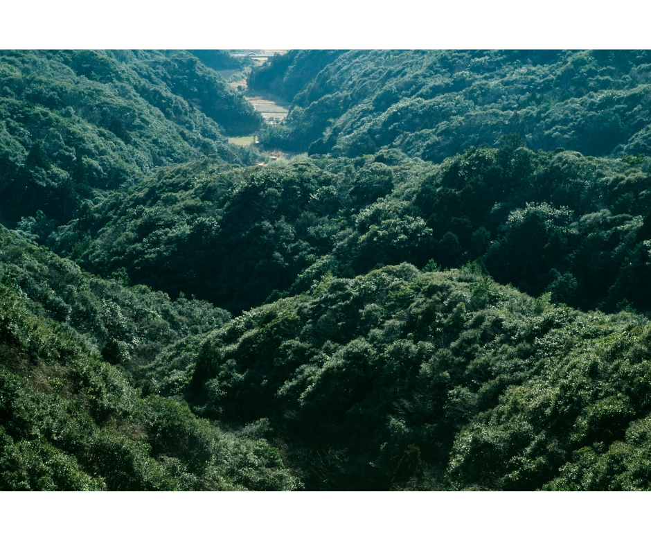 header-sub