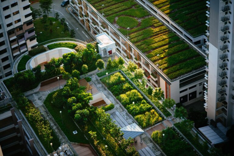 Een goede transitie financier is ook een goede tuinman – NL
